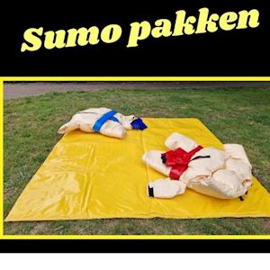 Sumoworstelen voor kinderen